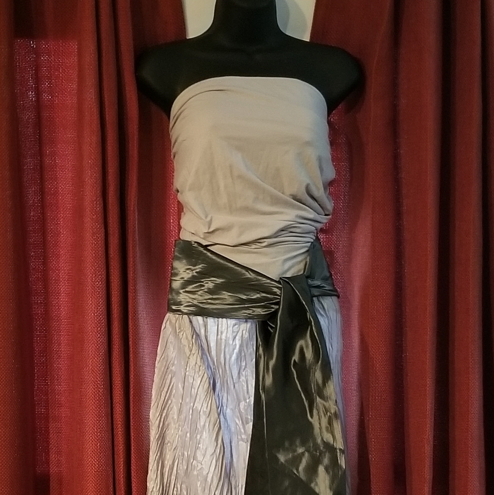 Gorgeous Strapless Maxi Dress